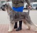 coenelie_02